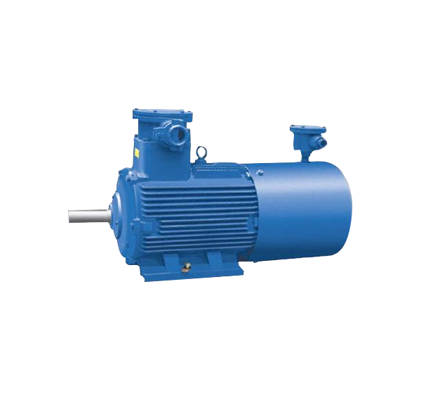 YBBP-80～355隔爆型變頻調速三相異步電動機